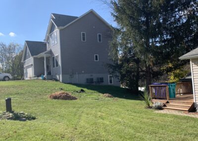 After Tree Removal